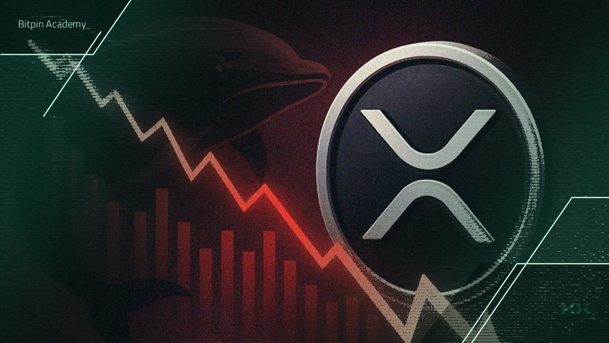 چند درصد از هولدرهای ریپل (XRP) در ضرر هستند؟