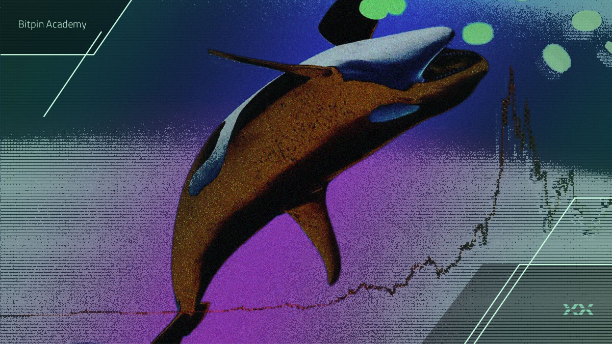 با بدشانس‌ترین نهنگ تاریخ آشنا شوید