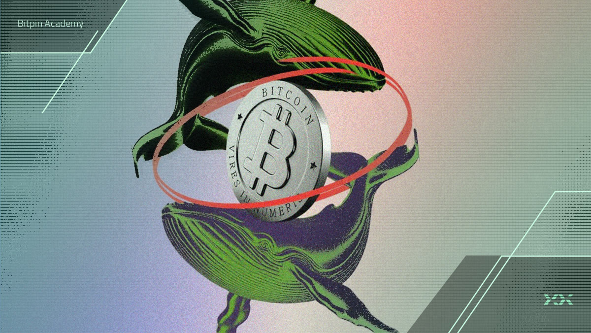 شرط ۱.۷ میلیارد دلاری یک نهنگ روی بیت کوین