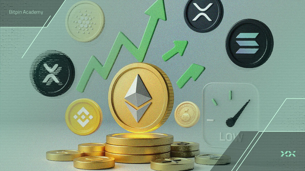 ۳ نکته مهم که آلت‌کوین‌بازها نباید از دست بدهند