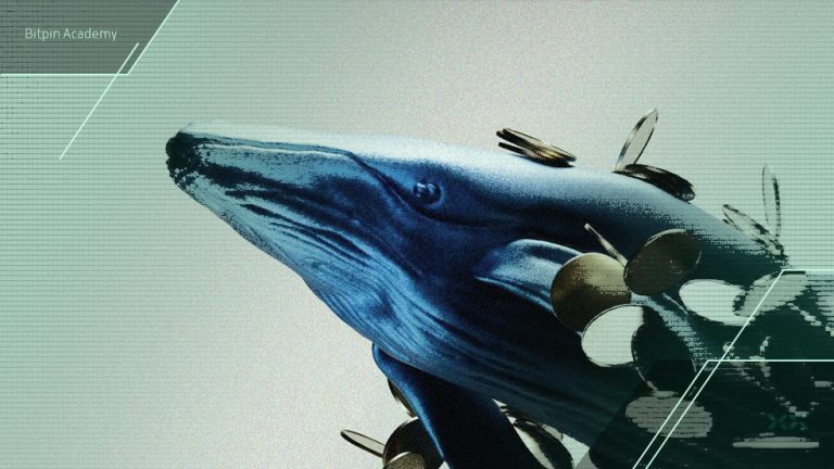 نهنگ معروف تمام پوزیشن‌‌های خرید خود روی این آلت‌کوین را بست