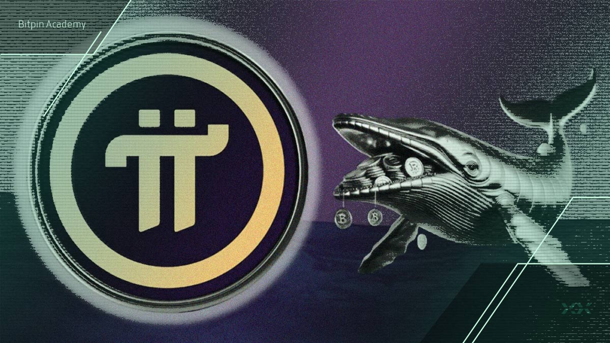 آیا نهنگ‌های پای نتورک رفتاری مثل ریپل از خود نشان داده‌اند؟