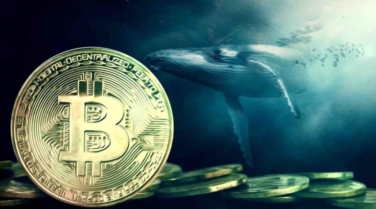 نهنگ‌های قدیمی ذخایر خود را نقد می‌کنند! بیت‌کوین در آستانه اصلاح به ۹۰ هزار دلار؟