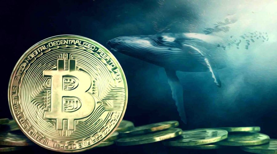 نهنگ‌های قدیمی ذخایر خود را نقد می‌کنند! بیت‌کوین در آستانه اصلاح به ۹۰ هزار دلار؟