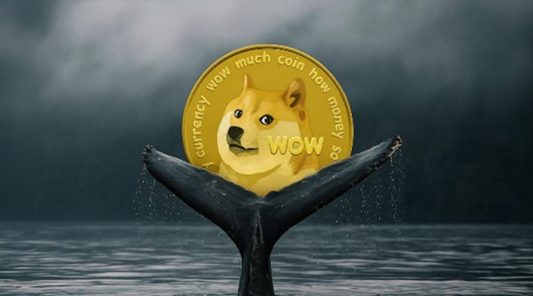 دوج کوین و تشکیل یک حمایت بسیار قوی توسط نهنگ‌ها!