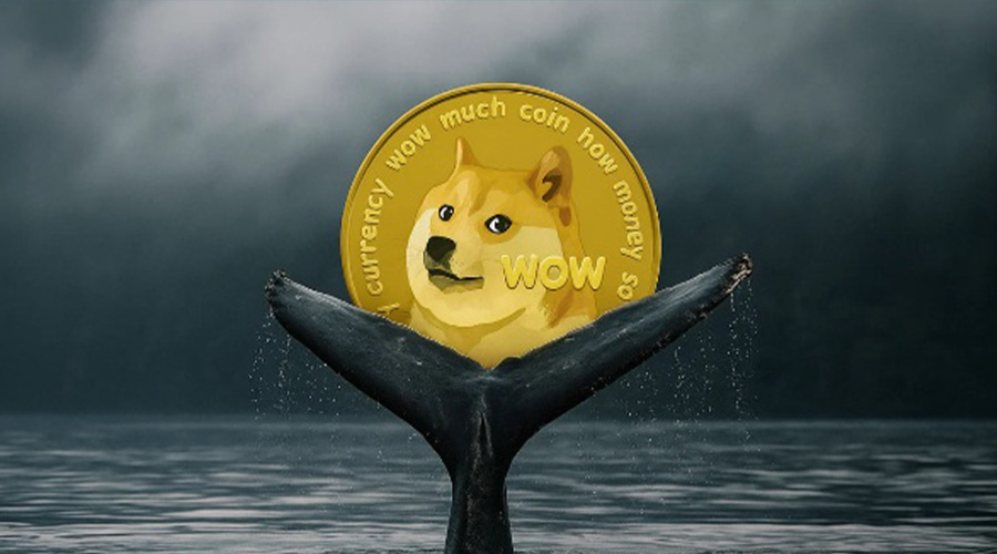 دوج کوین و تشکیل یک حمایت بسیار قوی توسط نهنگ‌ها!