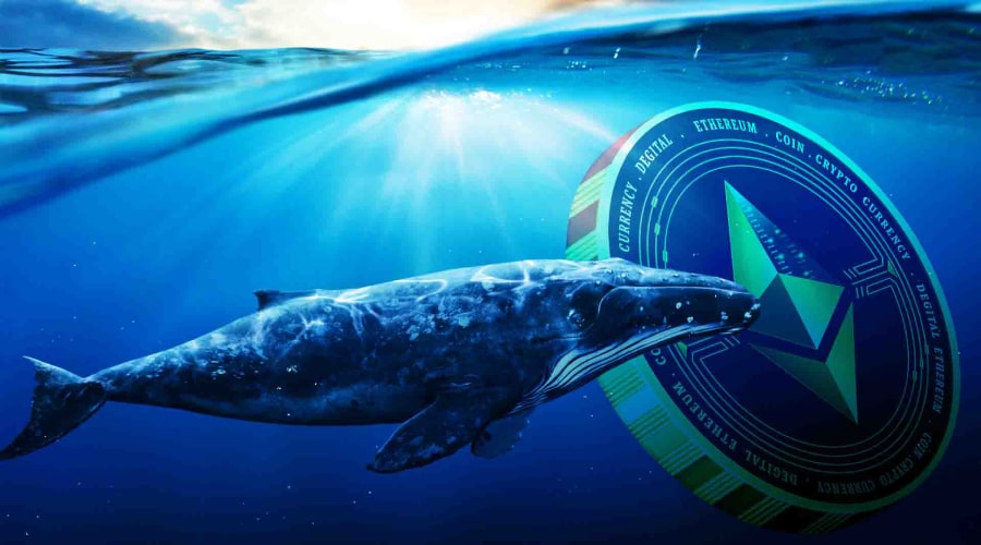 اتریوم در محدوده آخرین حمایت چندساله؛ نهنگ‌ها موفق به حفظ قیمت می‌شوند؟