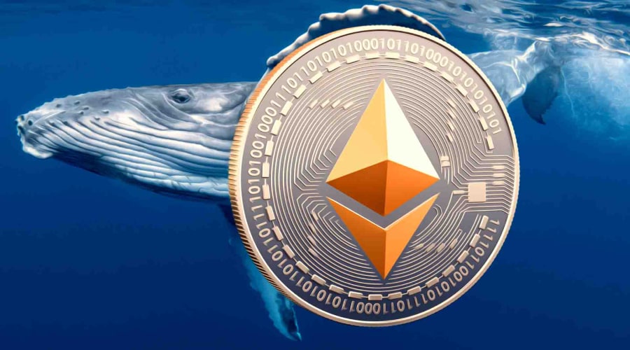 انباشت میلیاردی نهنگ‌های اتریوم در کف قیمت؛ ETH برای تغییر روند آماده می‌شود؟