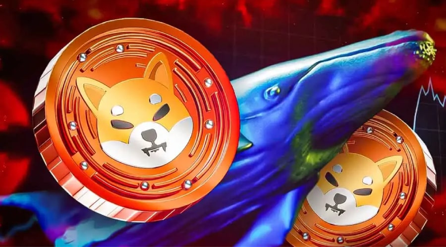 فروش ۱۴۶ میلیارد شیبا همزمان با جهش قیمت! نهنگ‌ها جلوی رشد SHIB را می‌گیرند؟