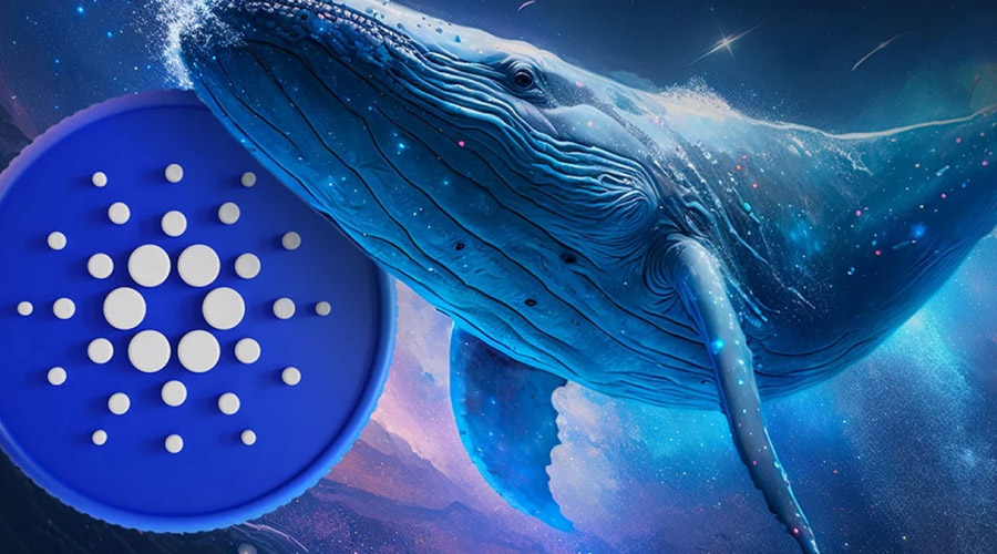 انباشت نهنگ‌ها در سکوت؛ ADA آماده جهش ۲۰۰ درصدی در ۱۵۰ روز؟