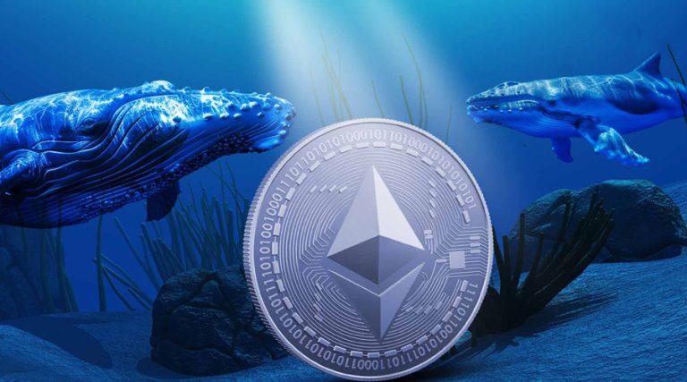 انباشت نهنگ‌ها در کف قیمتی ETH؛ بازپس‌گیری ۳۰۰۰ دلار یا سقوط بیشتر؟