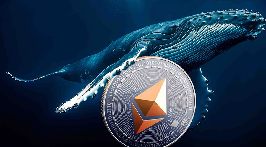 پس از سود عظیم ۲۰۰ میلیون دلاری، نهنگ مرموز برای رالی اتریوم آماده می‌شود!