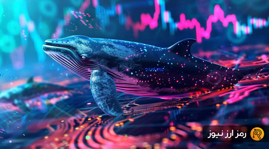 انباشت نهنگ‌ها در بازار نزولی؛ ۳ توکن که در تیررس هستند!