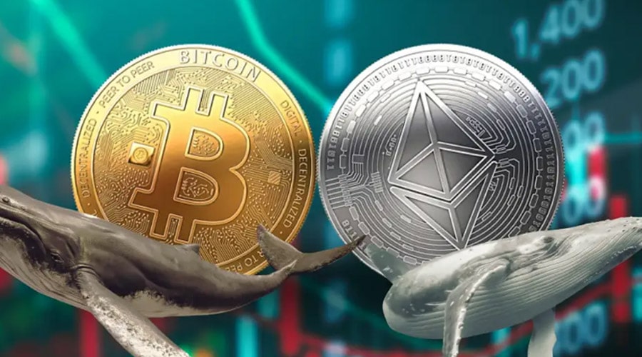 نهنگ‌ها همچنان در کف می‌خرند؛ افزایش تقاضای نهادی برای بیت‌کوین و اتریوم!