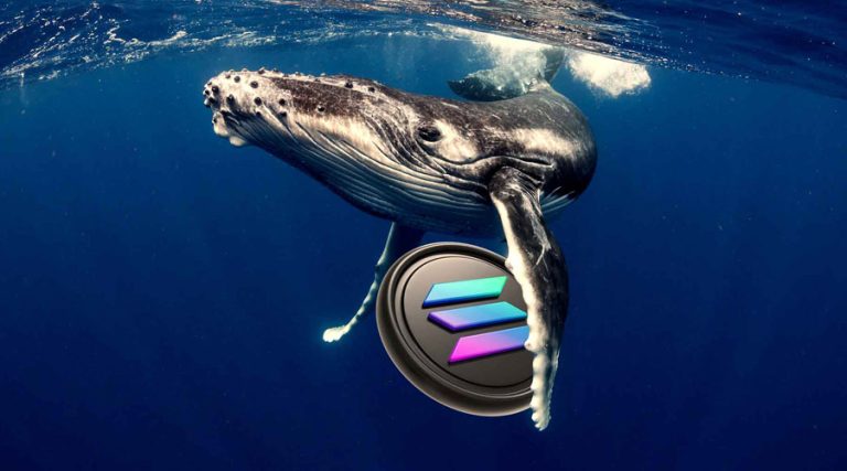 نهنگ‌ها در یک هفته ۴۲۱ میلیون دلار سولانا خریدند! پس چرا قیمت همچنان نزولی است؟