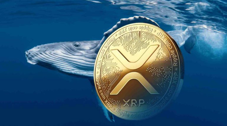 نهنگ‌ها و هولدرهای کوتاه‌مدت ریپل در حال انباشت؛ چرا قیمت XRP هنوز درجا می‌زند؟