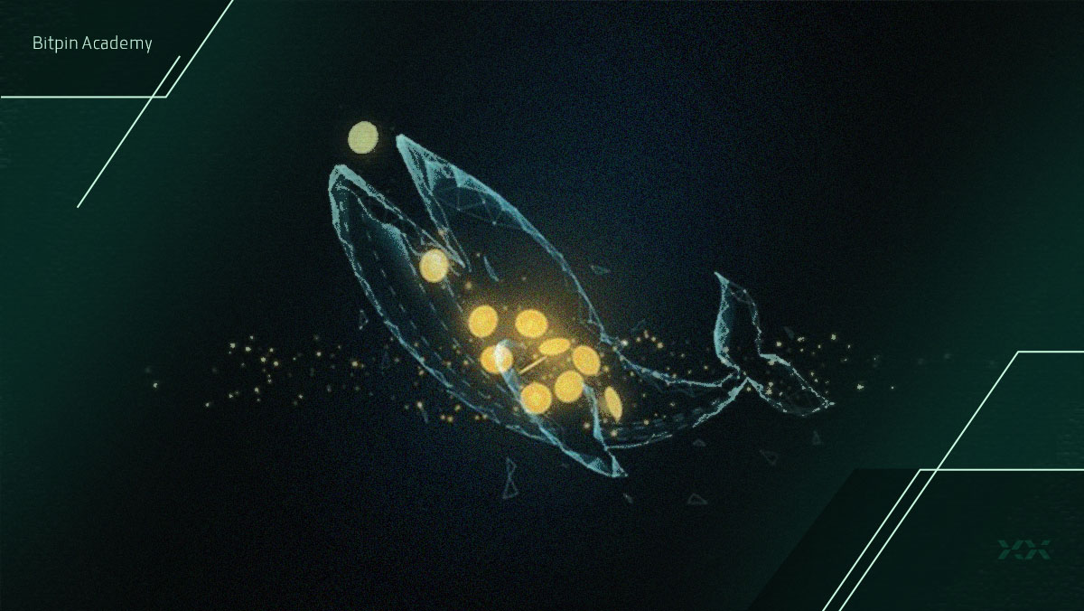 فعالیت مجدد نهنگ قدیمی این رمزارز پس از مدت‌ها چه تأثیری بر قیمت دارد؟