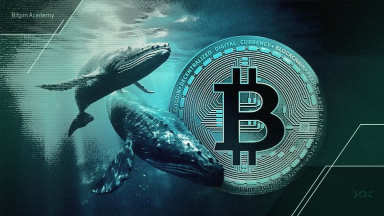 نهنگ‌ها با ریزش اخیر قیمت بیت کوین چه می‌کنند؟