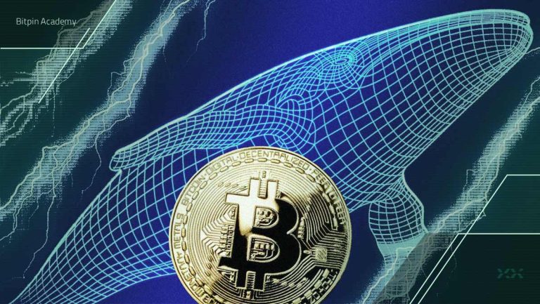 داستان کیف پولی که ۱۵ سال فعالیت نداشت، چه بود؟