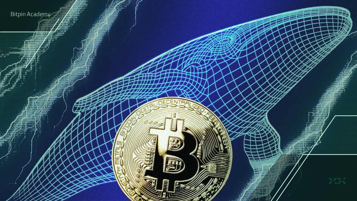 داستان کیف پولی که ۱۵ سال فعالیت نداشت، چه بود؟