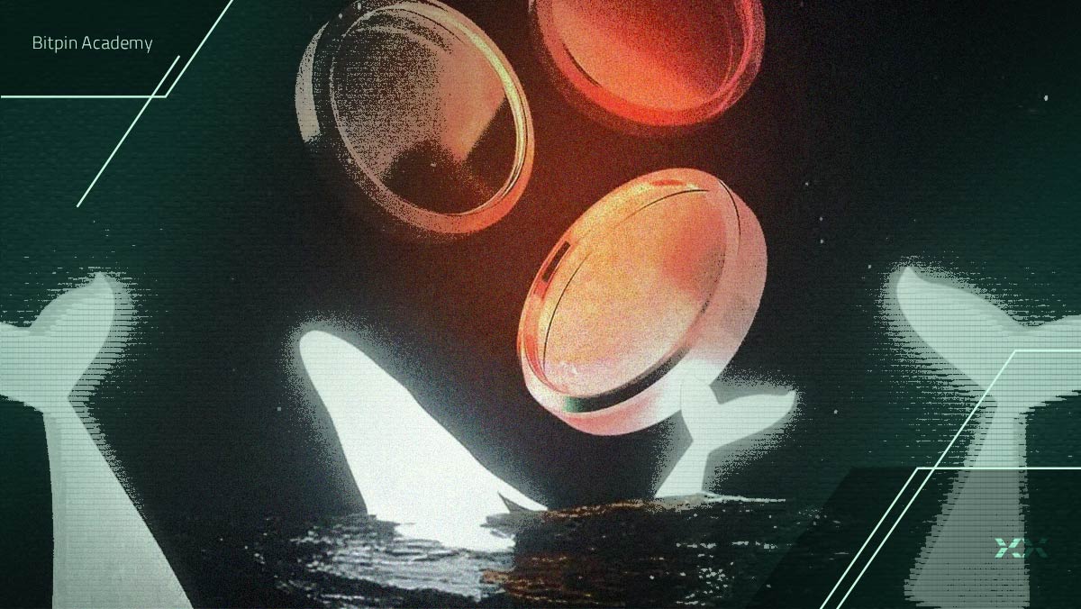 خرید سنگین ۸ آلت‌کوین مختلف توسط سرمایه‌گذار معروف!