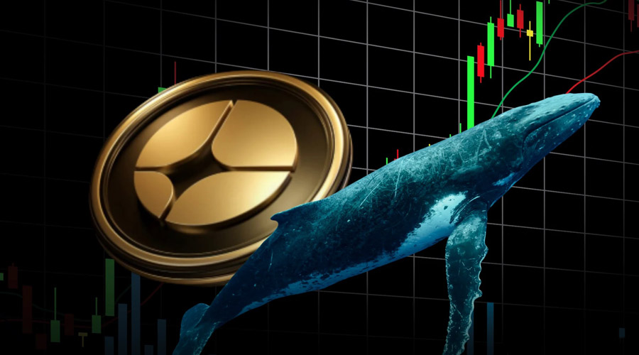 بازگشت نهنگ‌های استر با خریدهای میلیونی؛ ASTER از کانال نزولی خارج شد!