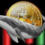 قیمت بیتکوین به اوج ۳ هفتهای رسید! بازگشت روند صعودی یا دستکاری نهنگها؟