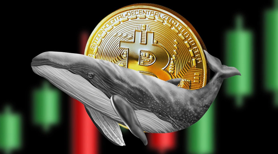 قیمت بیت‌کوین به اوج ۳ هفته‌ای رسید! بازگشت روند صعودی یا دستکاری نهنگ‌ها؟