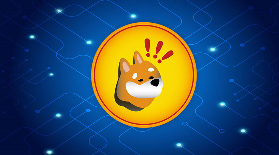 بونک آماده انفجار قیمتی؟ ۵۱ درصد از کارمزدها صرف انباشت BONK می‌شود!