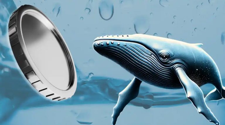 نهنگ‌ها فرصت انباشت در کف را غنیمت شمردند! ۳ آلت‌کوین پرتقاضا کدام‌اند؟