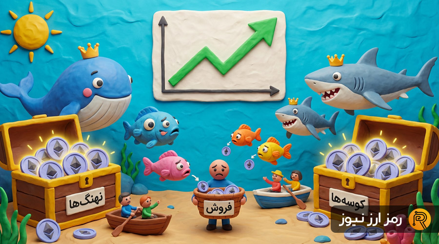 انباشت نهنگ‌ها در برابر فروش سرمایه‌گذاران خرد؛ کدام گروه قیمت اتریوم را کنترل می‌کند؟