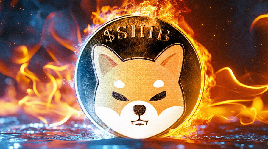 ارتش شیبا در انتظار به‌روزرسانی مهم ماه دسامبر؛ امیدی به صعود قیمت SHIB هست؟