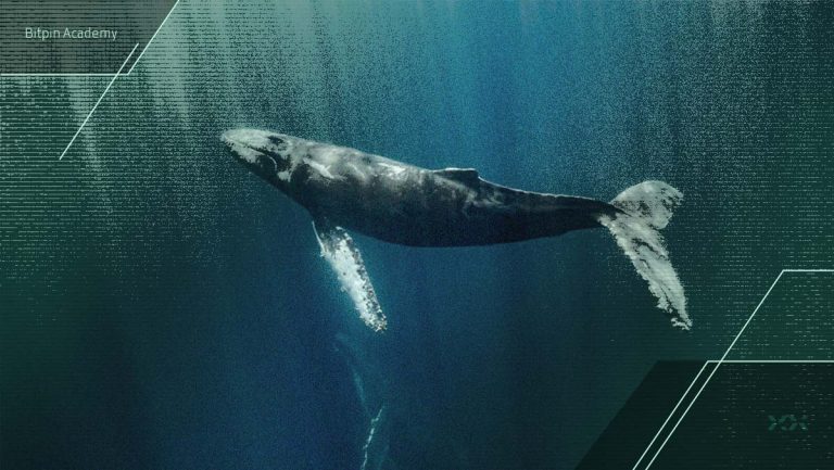 چرا نهنگ‌های این ارز دیجیتال ناپدید شده‌اند؟