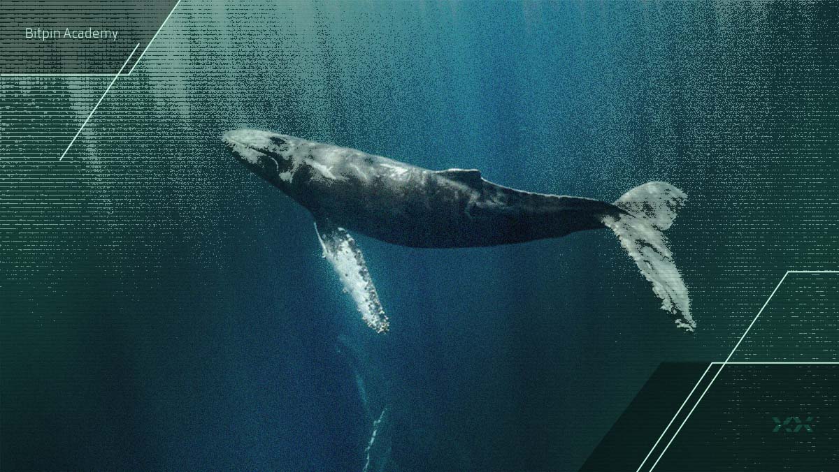 چرا نهنگ‌های این ارز دیجیتال ناپدید شده‌اند؟